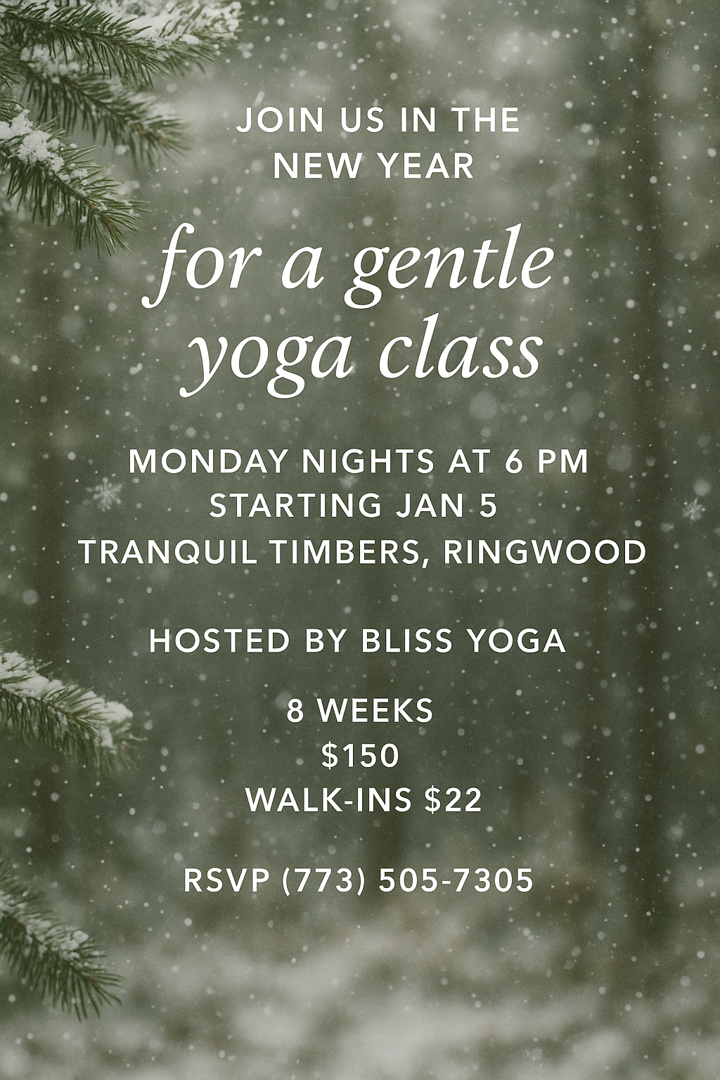 Bliss Yoga — Hybrid gym in McHenry, IL